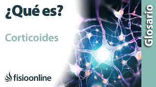 CORTICOIDES  Qué es cuál es su función dónde se encuentran e importancia para el cuerpo [upl. by Calloway]