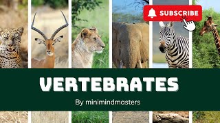 Vertebrates UnveiledAnimals with BackbonesFun learning video for kids [upl. by Imat886]