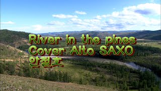 River in the pines cover AltoSaxo 안철호 [upl. by Aeslek]