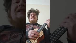 Billie Eilish  Birds of a Feather  Acoustic Covers Without Confidence pt6 music ukulele [upl. by Anatole]