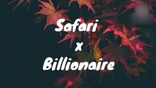 Sarena x Otilia  Safari x Billionaire  Lyrics video [upl. by Niehaus]