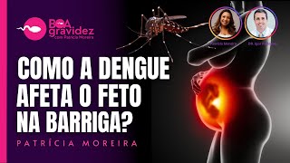 DENGUE  O que a dengue pode causar para o feto [upl. by Dayiz927]