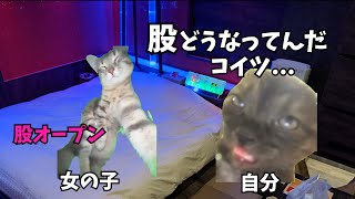 トー横の立ちんぼとホテルに入ったらヤバすぎて逃げた話【猫ミーム】【猫マニ】 [upl. by Lurlene]