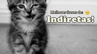 Frases de indireta [upl. by Dovev]