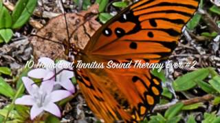 10 Hour Best Tinnitus Sound Therapy Ever 2 Nature Sounds [upl. by Enitsirc]