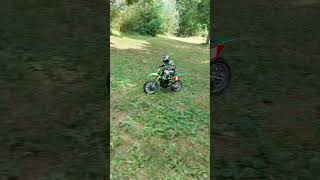 LOSI PRO MOTO MX modélisme bash brushless [upl. by Zehcnas415]