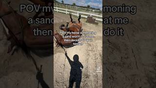 Sometimes I regret owning horses 😭 horse showjumping equestrian horsesaremylife equestrianlife [upl. by Asilana]