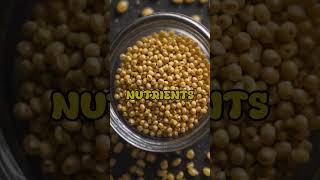 Magic of Mustard seeds 07funfact fruitknowledge shortvideo mustard [upl. by Thaddaus]