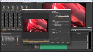 CuteDCP for Premiere Pro [upl. by Zzaj540]