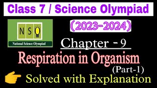 Class 10 NSO 202324 Level 1 Question Paper With Complete Solution  NSO 202323  SETA Paper [upl. by Aicemed]