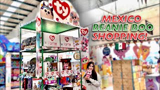 BEANIE BOO SHOPPING IN MEXICO [upl. by Lesya]