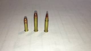 22lr vs 22 mag vs 17hmr vs [upl. by Eph463]