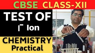 Test Of Iodide And Bromide Ion  Class12  Chemistry Practical [upl. by Llerej623]