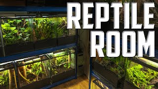 Todas Mis Mascotas Exoticas  Reptile Room Tour [upl. by Meriel]