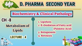 Lipid metabolism  CH8  L4  Biochemistry and clinical pathology  DPharm second year [upl. by Neeloc371]