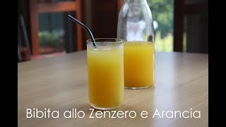 Bibita allo Zenzero Arancia e LimoneDjinibere [upl. by Marianne655]