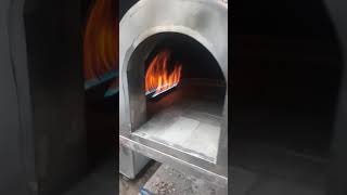 Wood fired gas pizza oven1 [upl. by Ardeth877]