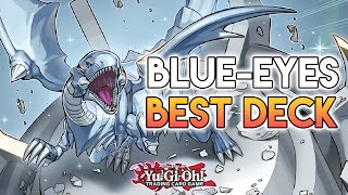 BlueEyes Just Turned Into The BEST Deck With This BROKEN NEW Support YuGiOh [upl. by Aittam]