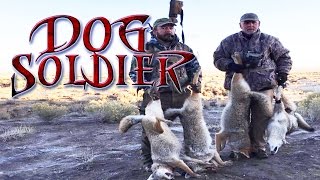 4 coyotes killed at once Coyote hunting and predator calling at its bestDog Solidier TV [upl. by Inaja]