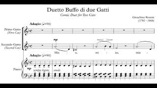 Gioacchino Rossini  Duetto buffo di due gatti [upl. by Willy]