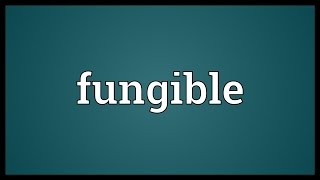 Fungible Meaning [upl. by Moht]