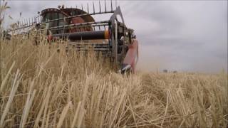 Austrailan Harvest 2016  Wampo Station  Go Pro [upl. by Akemahc]