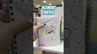 Agendas Puffer Las primeras agendas acolchadas que vas a ver hoy agendas puffer papeleria [upl. by Atinat278]