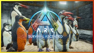 Farming The Penguin Juice  ARK Survival Ascended  Ep 31 [upl. by Nerral]