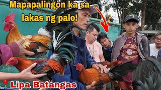 Episode 50 Bentahan ng Manok sa Lipa Batangas [upl. by Leopoldine948]