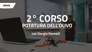 2° CORSO POTATURA DELL’OLIVO [upl. by Galligan]