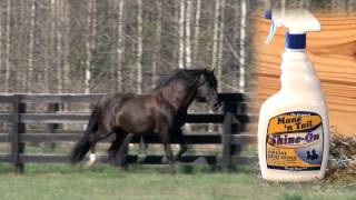 Finishing Glossing Shine Spray for Grooming How to Use Mane n Tails ShineOn [upl. by Fink]