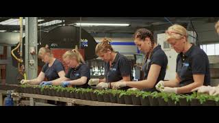 Vireõ plant sales  company movie Nederlands [upl. by Nehpets977]