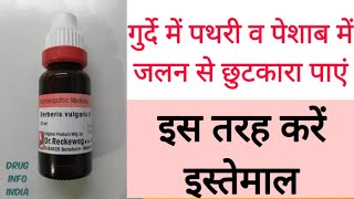 Berberis Vulgaris uses amp benefits in Hindi  गुर्दे की पथरी की छुटकारा [upl. by Asylem]