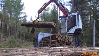 4K Volvo FH16 750 Timber Truck Loading [upl. by Airreis]