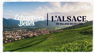 LAlsace de village en village  Échappées belles [upl. by Yrtsed]