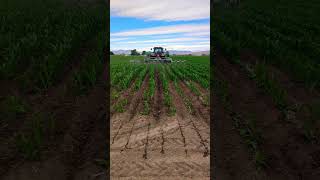 Furrowing and Fertilizing farmhandfarmingcornagriculture caseIHboxeldercountynorthernutah [upl. by Gault783]