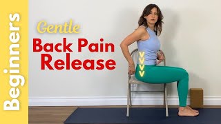 Low back pain relief exercises beginners yoga therapy [upl. by Tilford]