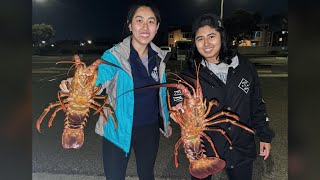 Lobster Fishing  Hooping for CALIFORNIA SPINY LOBSTER [upl. by Aisetra610]