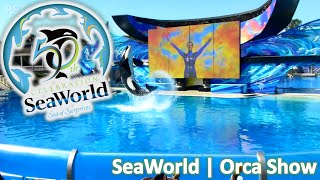 Show de Orcas  SeaWorld San Diego CA [upl. by Ahsinan]