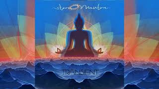 StereOMantra  Transient Full Album [upl. by Trisa]