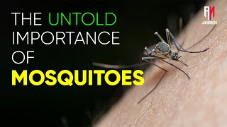 The Hidden Facts of The Mosquitoes Unveiling Natures Secret Balance  science facts english [upl. by Viafore]