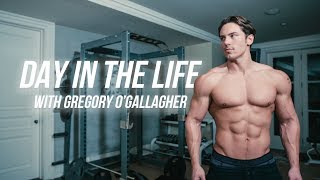 How To Get to 6 Body Fat  Warrior Shredding Day in the Life [upl. by Trebleda]