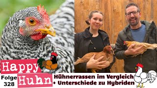 Verschiedene Hühnerrassen im Vergleich Unterschied Hybridhühner und Rassegeflügel HAPPY HUHN E328 [upl. by Mun]