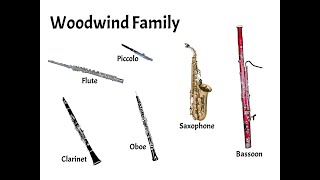 Woodwind Family [upl. by Anelrats]