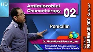 Antimicrobial chemotherapy Ar  02  Penicillin [upl. by Travus337]