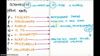 OSTEOMYELITIS  Easy Memorize Technique [upl. by Steck438]