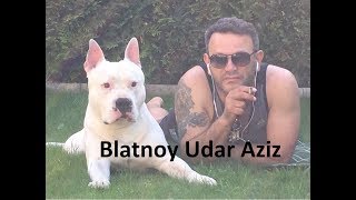 ✵18Blatnoy Udar ✵ Pod Kaifam ✵2018 Live [upl. by Leaw]