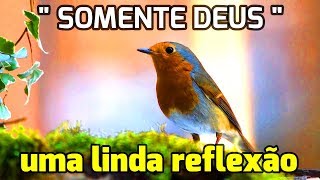 Linda Mensagem de Bom Dia  SOMENTE DEUS I Linda Reflexão [upl. by Salkcin]