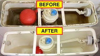 How to Clean TOILET FLUSH TANK  EASIEST METHOD [upl. by Amoreta]