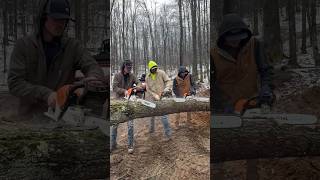 Stihl 500i vs Stihl 400c vs Stihl 291 stihl chainsawman chainsaw cuttingwood madeingermany [upl. by Tedda]